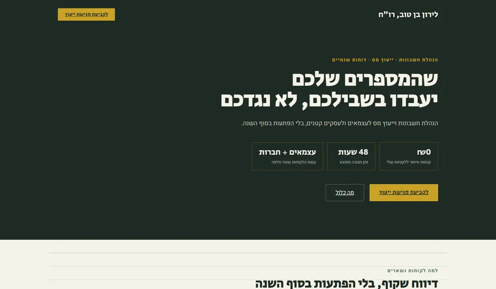 עמוד נחיתה לדוגמה עבור רואת חשבון