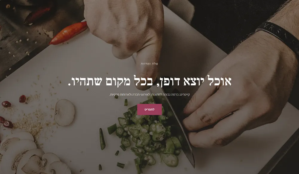 עמוד נחיתה לדוגמה עבור קייטרינג