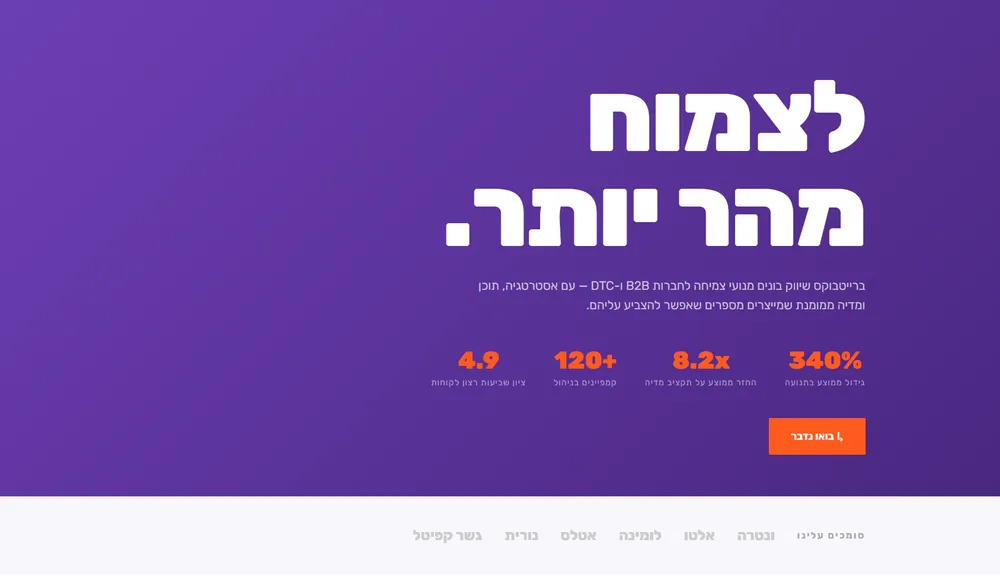 עמוד נחיתה לדוגמה עבור יועצת שיווק