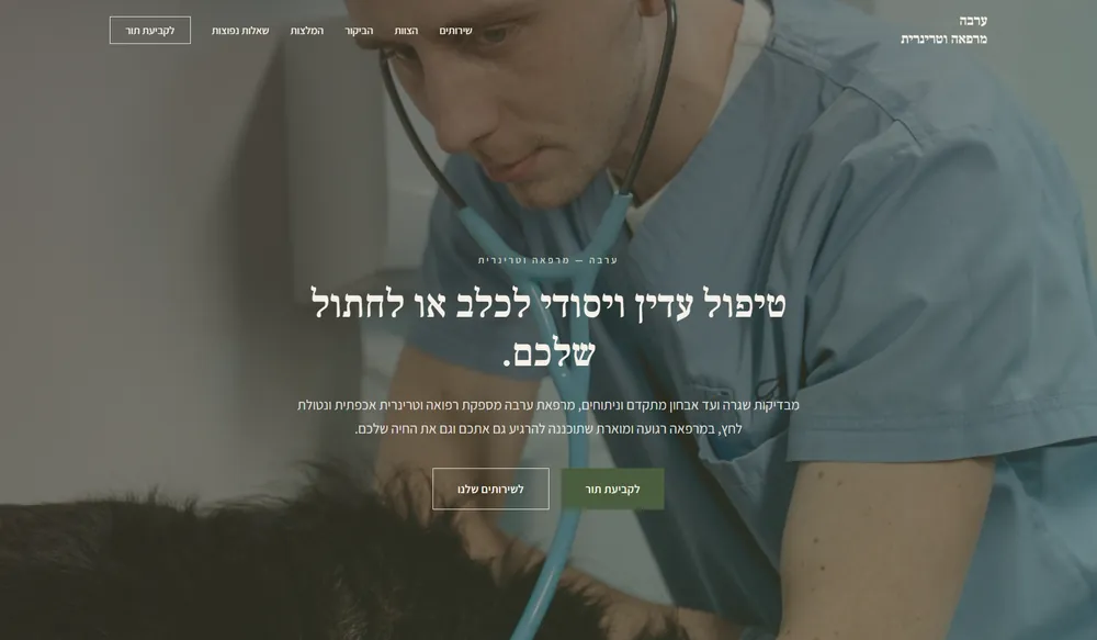 עמוד נחיתה לדוגמה עבור מרפאה וטרינרית
